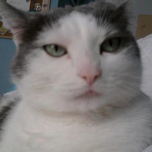 Meet your Posher, Missie